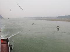 -海煌记王婆手撕烤兔(建设巷店)