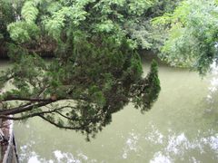 -丝绸小镇荻港古村