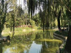 -西安市长乐公园