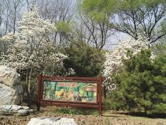 -廊坊市自然公园