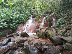 -梧桐山风景名胜区