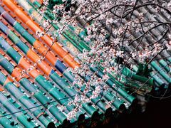 -北海公园