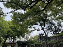 -绍兴鲁迅故里·沈园景区