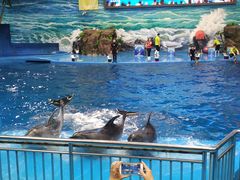 -多彩贵州城极地海洋世界