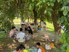 -白鹭湾湿地公园