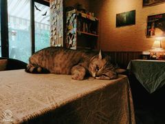 -隅cafe(傅厚岗店)