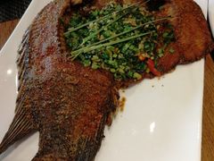 -滇越乘象云南餐厅(次渠店)