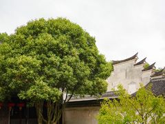 -天一阁博物院