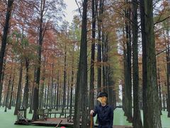 -渌洋湖湿地公园