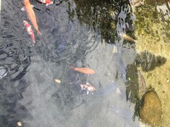 -水前寺成趣园