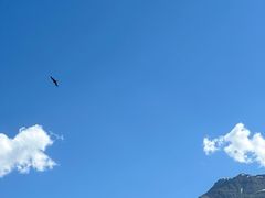 -新疆那拉提国家旅游度假区