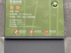 -中国大熊猫保护研究中心雅安碧峰峡基地