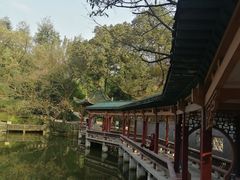 -鹅岭公园瞰胜楼