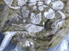 -风车面包