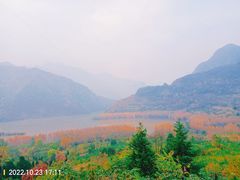 -黑河国家森林公园