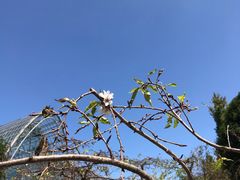 -南山植物园
