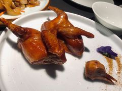 -粤凤佬
