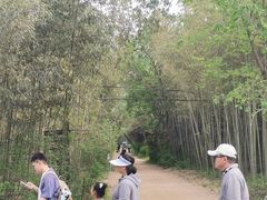 -日照海滨国家森林公园