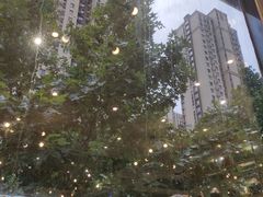 -执牛耳涮烤牛排火锅(伊河路店)