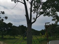 -立新湖公园