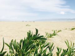 -青海湖国家重点风景名胜区