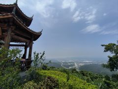 -黄埔油麻山森林公园