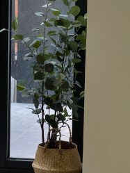 -明星刺青·洗纹身