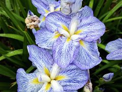 -上海植物园-4号门售票处