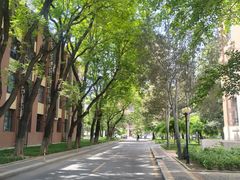 -中国农业大学(西校区)