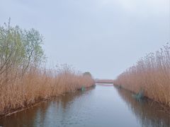 -白洋淀景区