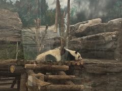 -鄂尔多斯野生动物园