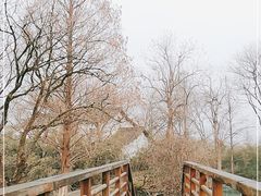 -西溪国家湿地公园