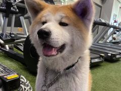 -YCHL Studios健身工作室(市二宫店)