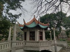 -叶家花园