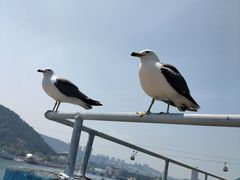 -大连老虎滩海洋公园