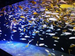 -成都浩海立方海洋公园