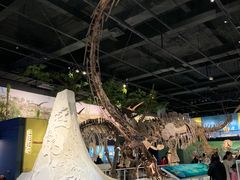 -国家自然博物馆