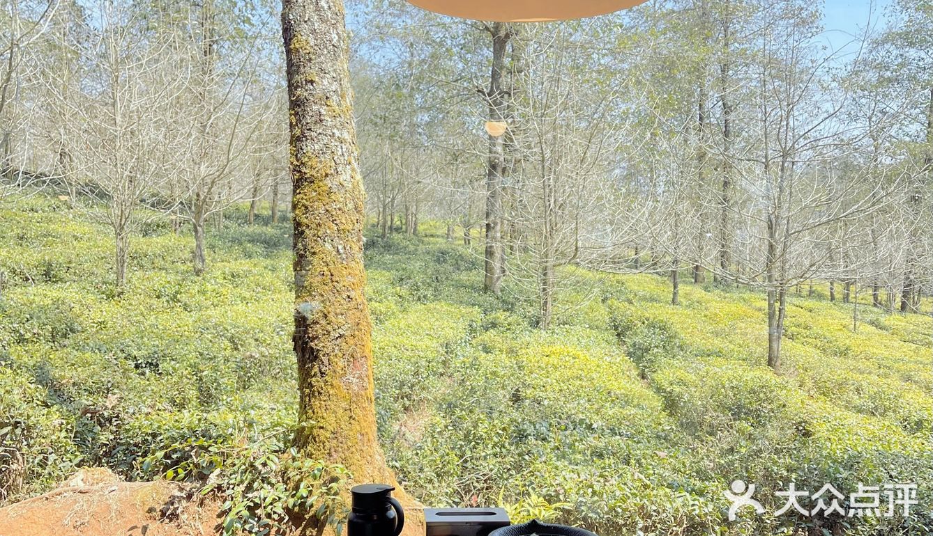 🍃 茶海主题餐厅～风景太美～