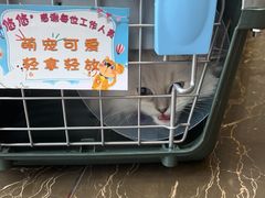 -宠爱国际动物医院·疑难骨科·心肾内科·皮肤科(太阳宫店)