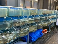 -启博美食城(孟家店)