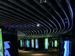 -上海金逸影城(静安大悦城店（原新恒星影城）)