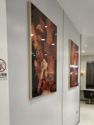 -YESIDO椰岛造型