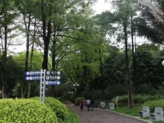 -东风公园