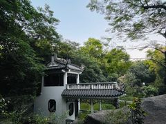 -深圳国际园林花卉博览园