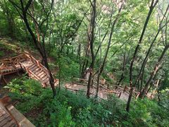 -大岭沟猕猴桃谷风景区