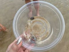 -后海村