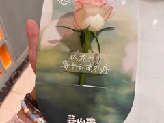 -芸山季·云南野生菌火锅(人民广场来福士店)