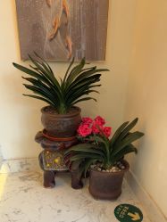 点击看大图 -海涛医疗美容·面部抗衰·注射美鼻