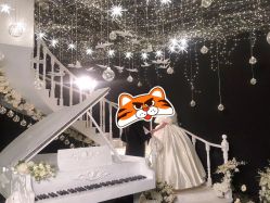 -青禾蒙娜丽莎婚纱摄影(武汉总店)