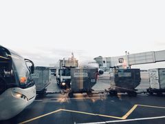 -谢列梅捷沃国际机场